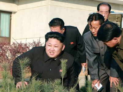 �������Ӳ���ֲ԰�� �ȼ����޴󰭡�