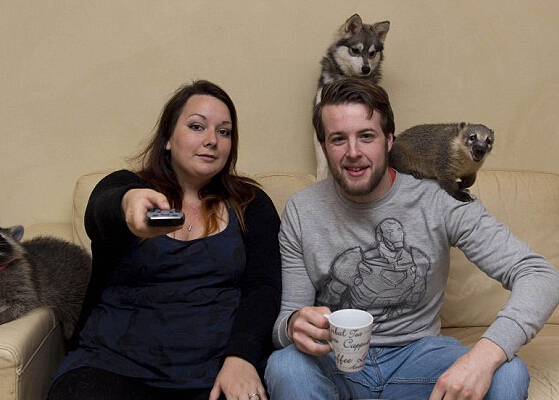 Ӣ��Ů���ղ�70�ֶ��� ���조˽�Ҷ���԰����