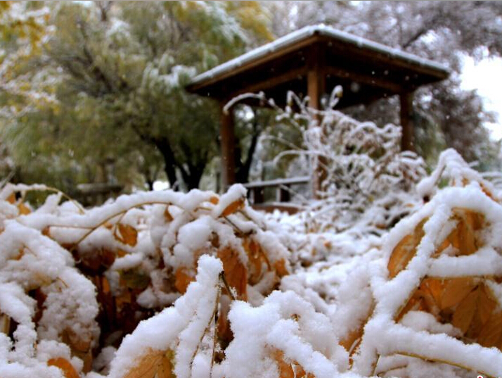 �½���˹�ں���ӭ�����׳���ѩ��