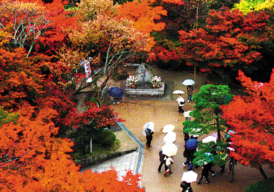 出境去寻周边“暖暖的秋意””