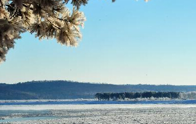 黑龙江部分地区呈现雾凇美景”