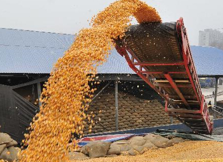 �����������չ�ȫ��չ����