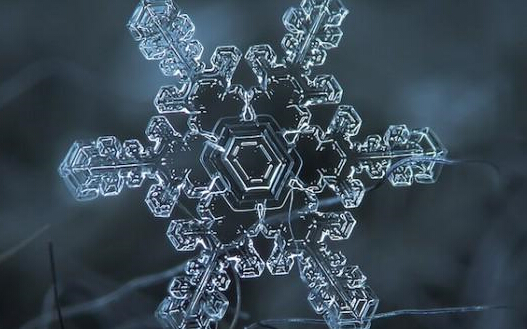 ��һ�������˵ã�ѩ����������