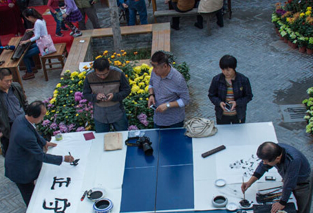 “秋韵菊彩 美丽古城”周村古商城首届菊花展收官”