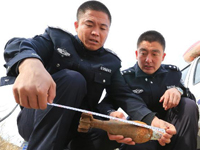 �������ַ����ֻ��վ������ڵ���