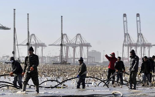 ��򶫽���˰�����������١�