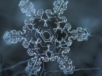 ��һ�������˵ã�ѩ����������