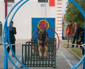 �������������±��� �Ѿ�Ȯ��������������