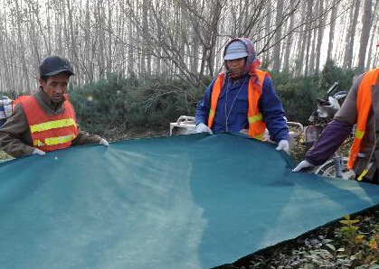 �ӱ��󳧣���ֲ�����¡���ů��