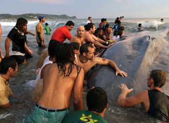 ���������������������ǳ��������(������ͼ)��