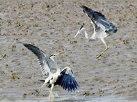 �ൺ������ʪ�سɺ�����վ����ͼ����