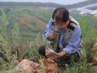 ���������뱱���ܿڵ�ֱ����ͬʱ���Ĺ�������ַ��