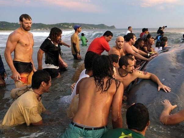 ����������ڰ�����ǳ����������