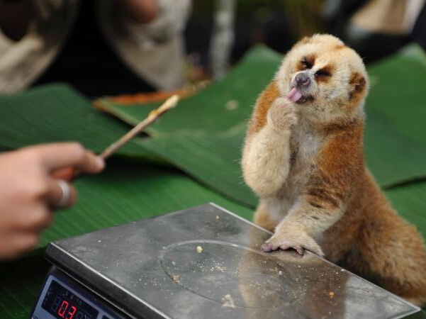 ����Ұ�����ﱾ�׵��� ���ﾡ�����ȡ�