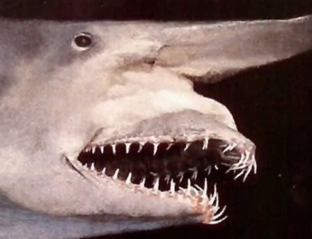 ʮ������캣�������̵㡱