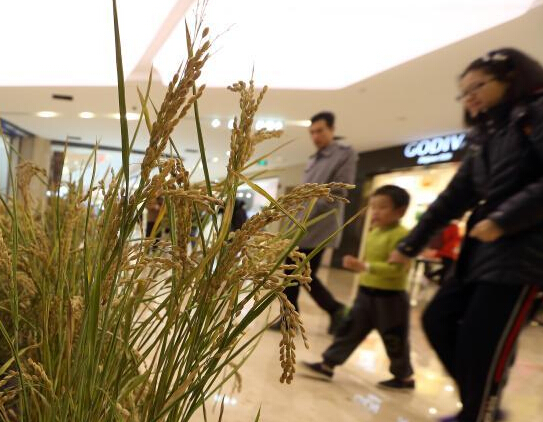 �Ͼ�һ�̳��ڡ��֡�ˮ������԰��⡱