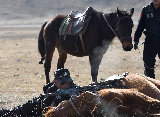 ��ԭ�ﾯ����������������ҫ��