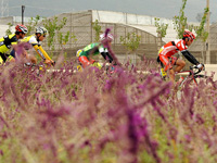 ��2014���߲����ϸ����Ҷ�������г��ڡ���Ϫվ��Ӱ��