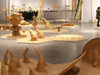 �����������չ�����Ͼ� �������������롱