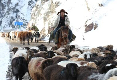 �½��������񡰶���ת������