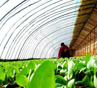 �ػ��ƽ������߲����� �ḻ�����г��������ӡ���