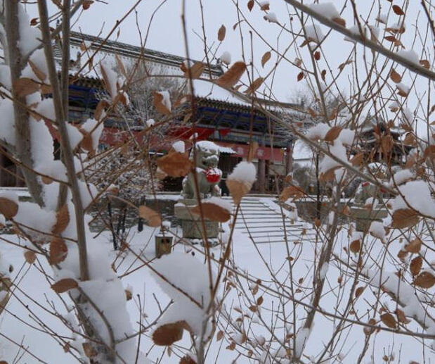 �½����ܰ������������ѩ��