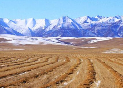 ����ɽ������ʮ��Ķ�Ͳ���ѩѹ�޷��ջء�