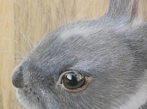 ��������ѧ�ɲ� ���廭�����Լ����桱