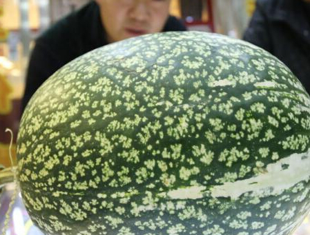 济南小学生课间做“交警韵律操”健身”