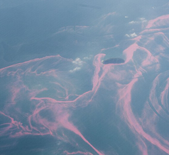 海南琼州海峡现大面积红色带状物”