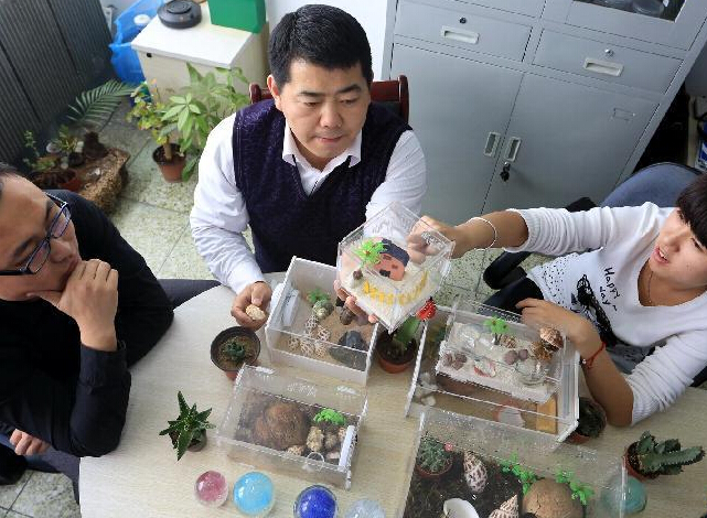 “海洋宠物”里找商机”