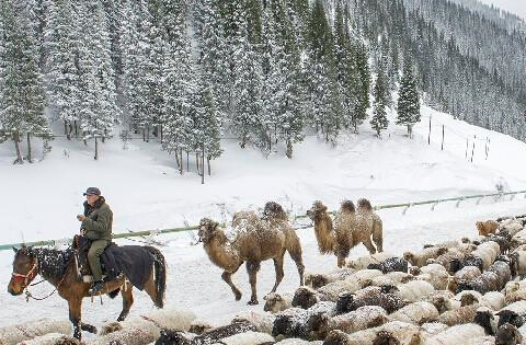 ʵ���½������������ڷ紵ѩ��ת����