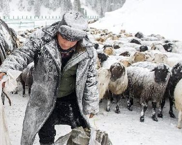 ʵ���½������������ڷ紵ѩ��ת����