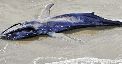 12����ͷ���ź��������ձ����� �о�Ա���ֳ����ʡ�