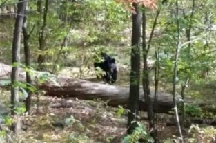 ��һ��ѧ����ɽ����Ϯ������ ��ǰ�����������ա�