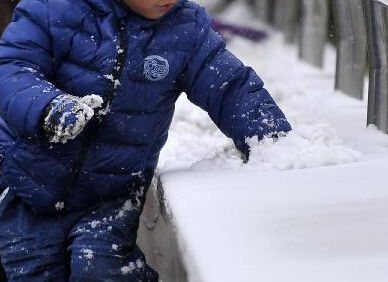 ��������ӭ�����׳���ѩ��