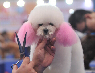 ���찮���������ʦΪ�����������