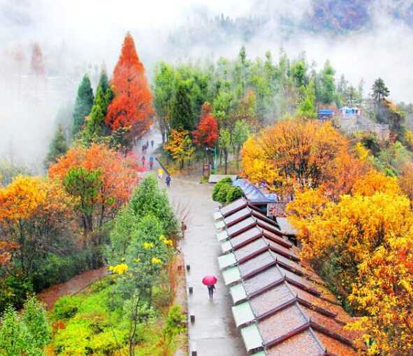 张家界天子山连绵冬雨现云雾仙景”