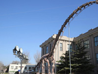 ������������ԭ�Ǽ����౱����