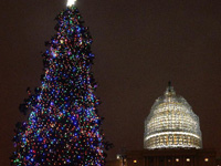 ������������ʥ������