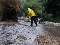 ��ɼ��ӭ���꼾��