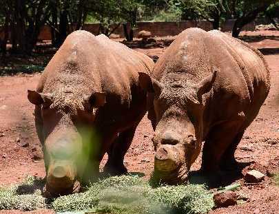 �й�פ�ϷǴ�ʹ������Ϭţ��