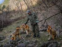 秦岭“唤猴人”(组图)”