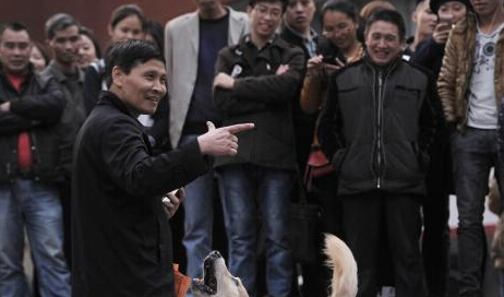 重庆聪明犬街头算数引人围观”