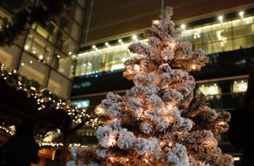 上海街头圣诞景观吸引路人驻足自拍”