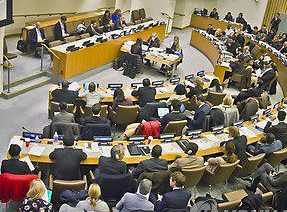 ����Ǵ������"�������Ϲ�����"���۳���Ȩ���⡱