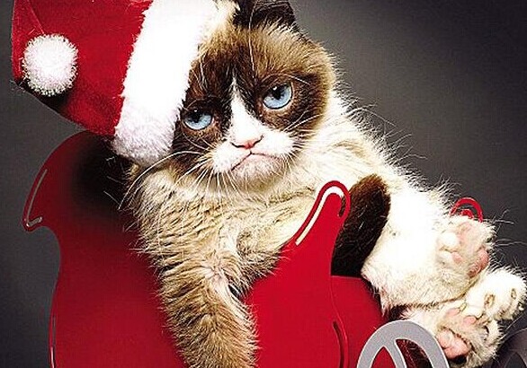 ����ˬè�������Ʋ��ɵ� ����Ϊ����׬��650��Ӣ����