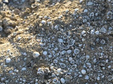 �й�����ģ�Ĺ�����ز㡪��������������