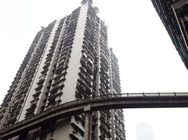 ����������ԡ����� 13��ߴ�¥������