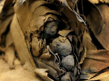 2500��Ű���ʯ���׼����� ľ����¶��ֺ��